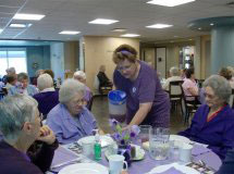 Purple Party